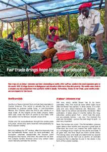 The sorting of green vanilla.. © Ndali Estate, Ouganda  Vanilla is a flavour derived from orchids that originated in Central America. This orchid is actually the only one worldwide to produce edible fruits. In pre-Colum