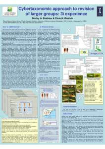 Single-access key / Species / Identification key / 3i / Taxonomy / Science / Terminology / Leafhopper / Biology / Cicadellidae