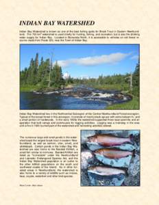 INDIAN BAY WATERSHED Indian Bay Watershed is known as one of the best fishing spots for Brook Trout in Eastern Newfoundland. The 700 km2 watershed is used chiefly for hunting, fishing, and recreation, but is also the dri