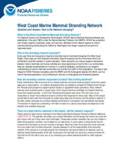 Protected Resources Division  West Coast Marine Mammal Stranding Network Question and Answer: How is the Network changing?  What is the West Coast Marine Mammal Stranding Network?