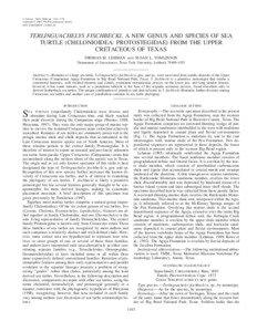 J. Paleont., 78(6), 2004, pp. 1163–1178 Copyright ᭧ 2004, The Paleontological Society[removed][removed]$03.00