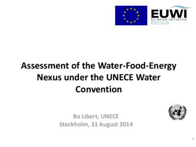 Assessment of the Water-Food-Energy Nexus under the UNECE Water Convention Bo Libert, UNECE Stockholm, 31 August[removed]