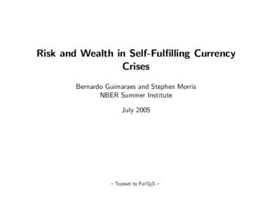 Risk and Wealth in Self-Fulfilling Currency Crises Bernardo Guimaraes and Stephen Morris NBER Summer Institute July 2005