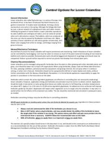 Control Options for Lesser Celandine General Information Lesser celandine, also called fig buttercup, is a native of Europe, Asia and North Africa. It has been introduced into North America as a garden ornamental. It inv