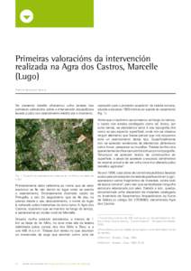 Primeiras valoracións da intervención realizada na Agra dos Castros, Marcelle (Lugo)