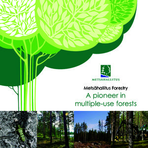 Metsähallitus Forestry  A pioneer in multiple-use forests  1