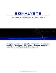 B u s i n e s s & Te c h n o l o g y C o n s u l t a n t s  Sonalysts provides a powerful integration of business strategy, technology, and human interface expertise supported by world-class project management.