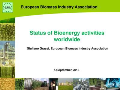 European Biomass Industry Association  Status of Bioenergy activities worldwide Giuliano Grassi, European Biomass Industry Association