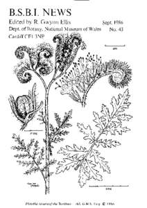 Botanical Society of Britain and Ireland / Tetrad / Recorder / WLTH