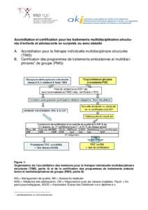 Accréditation et certification pour les traitements multidisciplinaires structurés d’enfants et adolescents en surpoids ou avec obésité  A. B.  Accréditation pour la thérapie individuelle multidisciplinaire struc