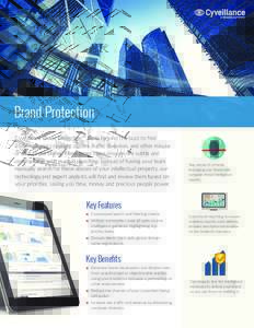 Brand Protection Cyveillance Brand Protection™ looks beyond the buzz to find trademark and copyright abuses, traffic diversion, and other misuse of your brand online. Many times these misuses are subtle and undetectabl