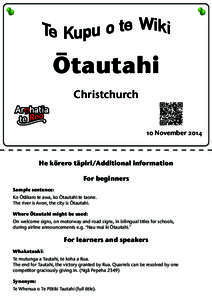Ötautahi Christchurch 10 NovemberHe körero täpiri/Additional information
