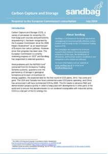 Carbon Capture and Storage Response to the European Commission’s consultation July[removed]Introduction