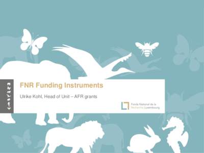 FNR Funding Instruments Ulrike Kohl, Head of Unit – AFR grants 0 Luxembourg Public Investments in Public and Private R&D (in MEUR)