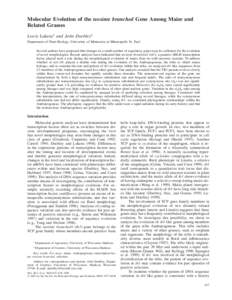 Molecular Evolution of the teosinte branched Gene Among Maize and Related Grasses Lewis Lukens1 and John Doebley2 Department of Plant Biology, University of Minnesota at Minneapolis St. Paul Several authors have proposed