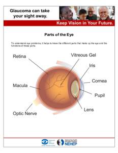 Parts of the Eye To understand eye problems, it helps to know the different parts that make up the eye and the functions of these parts. Here are descriptions of some of the main parts of the eye: Cornea: The cornea is 