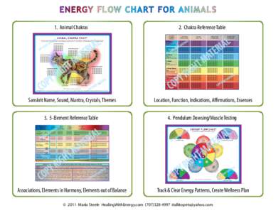 energy flow chart for anim als 1. Animal Chakras al eri  2. Chakra Reference Table