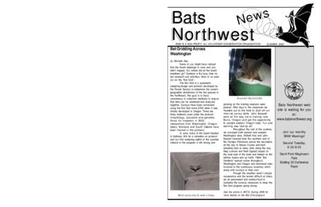 Become a Bats Northwest Member Join us in the adventure to learn more about our bat neighbors! Membership Options:  $35