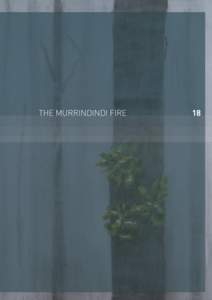 THE MURRINDINDI FIRE  18 Volume I: The Fires and the Fire-Related Deaths