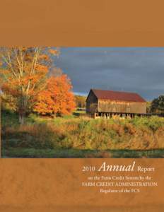 2010 Annual Report on the Farm Credit System