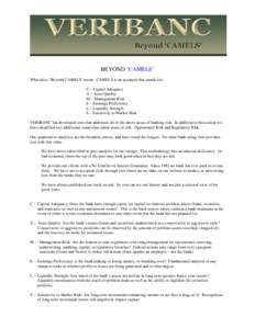 Finance / Asset quality / Liquidity risk / Financial economics / Banking in the United States / Structured finance / Wall Street and the Financial Crisis: Anatomy of a Financial Collapse / Internal Ratings-Based Approach / Bank regulation / CAMELS ratings / Economics