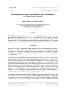 I.R.H. Telford & J. Naaykens, Synostemon hamersleyensis (Phyllanthaceae), a new species  Nuytsia 31