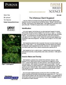 www.btny.purdue.edu/weedscience/  Glenn Nice Bill Johnson Tom Bauman Purdue Extension Weed Science