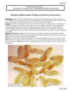Page 1 of 2 COUNTY OF LOS ANGELES DEPARTMENT OF AGRICULTURAL COMMISSIONER/WEIGHTS AND MEASURES Formosan Subterranean Termite (Coptotermes formosanus) Distribution: Native to China. Established in several tropical and sub
