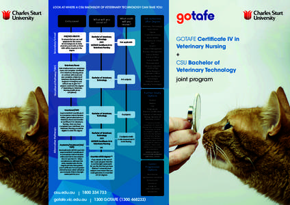 LOOK AT WHERE A CSU BACHELOR OF VETERINARY TECHNOLOGY CAN TAKE YOU:  Vocational Pathway/TAFE Secondary School