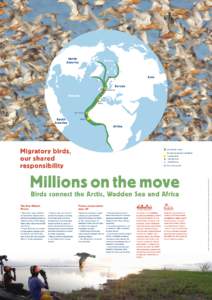 Bird migration / Agreement on the Conservation of African-Eurasian Migratory Waterbirds / Red Knot / Eurasian Spoonbill / Wetlands International / East Asian – Australasian Flyway / Asian - East African Flyway / Ornithology / Wadden Sea / Flyway