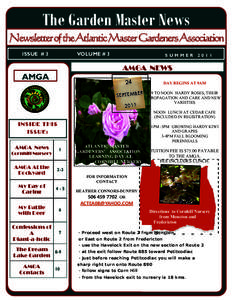 AMGA  Summer Newsletter 2011.pub