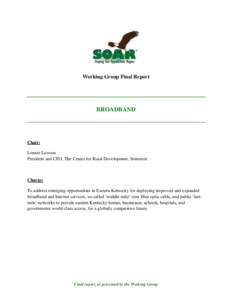 Microsoft Word - Broadband committee report working 0917