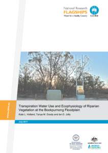 Environment / Groundwater / Riparian zone / Water table / Evapotranspiration / Wetland / Eucalyptus camaldulensis / Aquifer / Environmental flow / Water / Hydrology / Earth