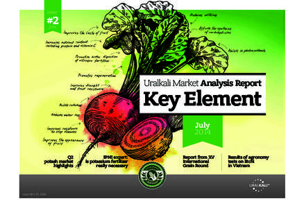 Issue  #Uralkali Market Analysis Report