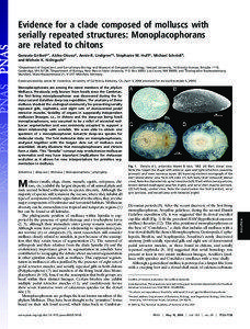 Evidence for a clade composed of molluscs with serially repeated structures: Monoplacophorans are related to chitons