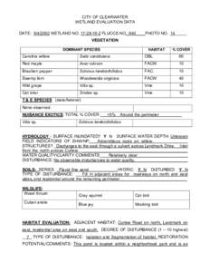 Willow / Salix caroliniana / Palustrine / Schinus / Wetland / Aquatic ecology / Flora / Biogeography