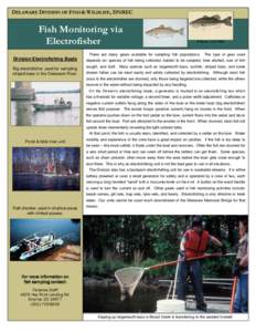 DELAWARE DIVISION OF FISH & WILDLIFE, DNREC  Fish Monitoring via Electrofisher  D Raver, US FWS
