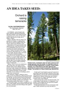 This is a reproduction of the article appearing in the Baker City Herald/La Grande Observer, March 26, 2012  AN IDEA TAKES SEED: Orchard is raising tamaracks