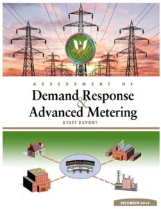 Demand response / Electrical grid / Smart grid / Federal Energy Regulatory Commission / Electric power distribution / Regional transmission organization / Smart meter / Smart grid policy in the United States / Electric power / Energy / Electric power transmission systems