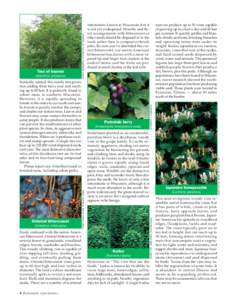 Botany / Wetland / Cabomba caroliniana / Kudzu / Celastrus orbiculatus / Invasive species / Pueraria montana / Vine / Japanese knotweed / Invasive plant species / Biology / Eudicots