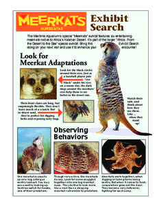 Exhibit Search The Maritime Aquarium’s special “Meerkats” exhibit features six entertaining meerkats native to Africa’s Kalahari Desert. It’s part of the larger “Africa: From the Desert to the Sea” spec