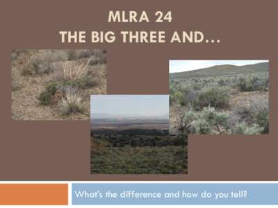 MLRA 24 THE BIG THREE AND… What’s the difference and how do you tell?  Ecological Site Descriptions
