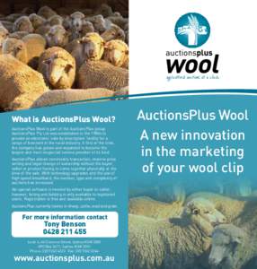 What is AuctionsPlus Wool? AuctionsPlus Wool is part of the AuctionsPlus group. AuctionsPlus Pty Ltd was established in the 1980s to provide an electronic ‘sale by description’ facility for a range of livestock in th