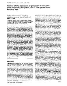The EMBO Journal vol.7 no.5 pp[removed], 1988  Analysis of the mechanism of protection in transgenic