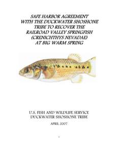 Crenichthys / White River springfish / White River / Spring / Duckwater /  Nevada / Nye County /  Nevada / Endangered Species Act / Hot Creek / Duckwater Shoshone Tribe of the Duckwater Reservation / Goodeidae / Nevada / Railroad Valley springfish