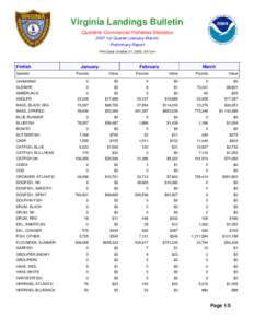 Virginia Landings Bulletin Quarterly Commercial Fisheries Statistics 2007 1st Quarter (January-March) Preliminary Report Print Date: October 21, 2008, 3:47 pm