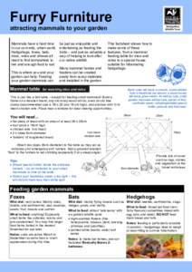 Furry Furniture attracting mammals to your garden Mammals have a hard time in our concrete, urban world. Hedgehogs, foxes, bats, mice, voles and shrews all