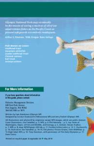 Olympic National Park may eventually be the means of saving a nucleus of all of our anadromous fishes on the Pacific Coast as present safeguards are entirely inadequate. Arthur S. Einarsen, 1938, Oregon State College