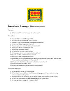 Zoo Atlanta Scavenger Hunt (without answers) Flamingos 1. Which bird is taller, the flamingo or the kori bustard? African Plains 1. 2.