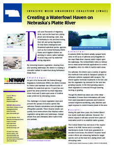 Platte River / Phragmites / Tamarix / Herbicide / Wetland / Piping Plover / Nebraska / Geography of the United States / Invasive plant species